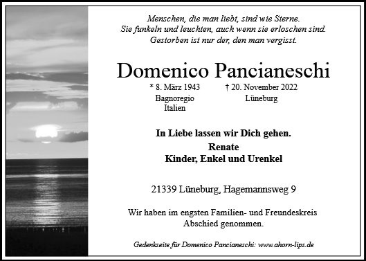 Erinnerungsbild für Domenico Pancianeschi
