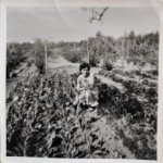 ein Bild aus dem Album