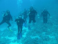 ein Bild aus dem Album