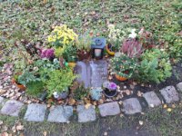 ein Bild aus dem Album