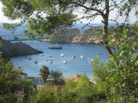 ein Bild aus dem Album